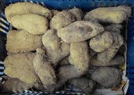 紅山藥 = 紅薯 養生補品 竹山名產