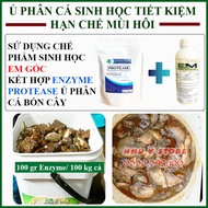 Enzyme Protease Và Chế Phẩm Sinh Học EM Gốc Ủ Phân Cá Nhanh Và Giảm Mùi Hôi