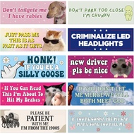 Funny Car Magnet Bumper Sticker - 10Pcs Hilarious Funny Joke Vehicle Magnets Embarrassing Harmless W
