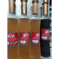 Madu Kelulut Asli Original Dari Sarang Kelutut