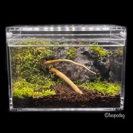 Nano Terrarium With Isopod