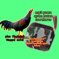SPEAKER BLUETOOTH MP3 suara ayam hutan cawehwer bakikuk tekukur sepah punai gading puyuh gonggong su