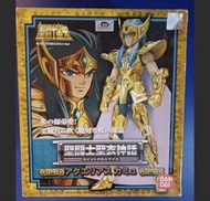 聖鬥士星矢，水瓶座