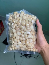 Hạt macca đã tách vỏ giòn ngon ăn liền