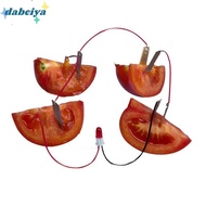 DABEIYA Fruit Battery Science Experiment Kit, STEM Experiment Kit Potato Powered Electricity Experim