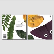 Leaf Transformation (Paperback) Non-fiction Picture Book 3-5 Years