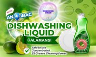 PREMIER WASH STICKER LABEL DISHWASHING LIQUID 16PCS