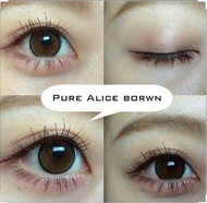 คอนแทคเลนส์ Pure Alice : Brown / ยี่ห้อ Beautylens ( ค่าสายตาปกติ - 700 )