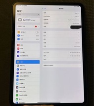 二手 95%新 ipad pro 11 “inch Wifi 256gb M4 2024