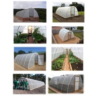 ۩ ✤ UV Plastic Sheet (6 mil - 150 Microns) - 9ft x 5 Meter For Greenhouse Roofing / Construction