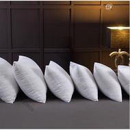 Vacuum Compression Delivery 40 x 40 45 x 45 55 x 55 50 x 50 60 x 60 40 x 60 Pillow Core Pillow Core 