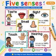 5 Pcs Poster Master Five Senses Posters, Five Senses Wall Decals Sight Smell Hearing Taste Touch Pos