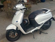 เบาะ Honda GIORNO ปาดแต่งตอนเดียว ผ้าBRIDE+ผ้าคลุม มอเตอร์ไซค์ กันตกจีออโน่ เบาะจีออโน่ 2024 สวยๆ