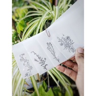 Custom Size Available!! A5 A6 Tracing Envelope /A7 Invitation Tracing Envelope
