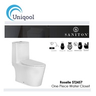 SANITON Roselle One Piece Water Closet With Whirlpool Flushing