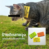 Leash Sign Mini Size Collar Be Careful Fierce Dog