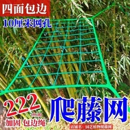 Passion Fruit Pertool Balsam Pear Pertool Planting Grape Luffa Cucumber Beans Hanging Melon Climbing China Rose Agricu00