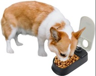 實體店鋪/SF ( 1 meal $188 / 2 meal $258) PAWISE Automatic Pet Feeder, Auto Dog Dry Food Dispenser with T