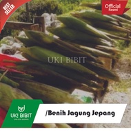 ( 100 Gram ) Benih Jagung Jepang Raksasa | Jumbo