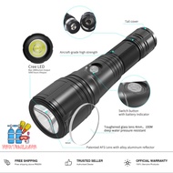 Skywoods Range D6S Dive Light