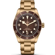 Tudor Tudor Biwan Series Bronze Material Automatic Mechanical Watch Men's Watch M79012M-0001