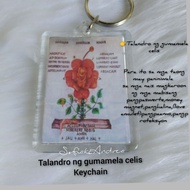 talandro ng gumamela celis keychain