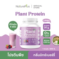 NaturePlus ส่งฟรี🍀โปรตีนพืช กลิ่นมิกซ์เบอร์รี่💜 โปรตีนสูง พืช 4 ชนิดผสมคอลลาเจน | 1 กระปุก(800g)