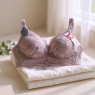 Elena Exclusive Series Thick Foam Bra Cup BO 86126 - 34A - 38A - Luxury Push Up Underwire Bra 3 Hook