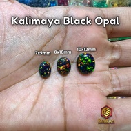 [STONE ONLY] Black Opal Kalimaya Stone Opal Stone Black Opal