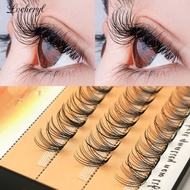 Lvcheryl 10D D+ Curl Eyelash Extension Mink Human Hair Classical Volume Nesura Eyelash Extension Thi