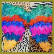 ✑ ◵ △ IBONG ADARNA WINGS KID SIZE