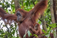 2 Days 1 Night Ethical Jungle Trekking