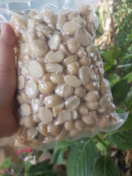 Nhân macca vỡ bể ngọt bùi không hôi dầu 500g