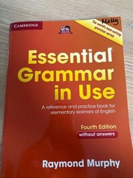 English Grammar In Use