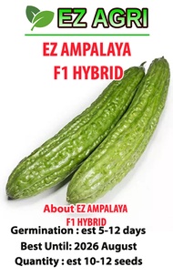 EZ EAST WEST AMPALAYA HYBRID F1 ORIGINAL SEALED MESTISA F1 HYBRID 10 SEEDS PLANTING VEGETABLE SEEDS 