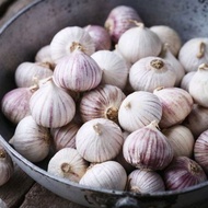 100GR BAWANG PUTIH TUNGGAL /  BAWANG LANANG HERBAL PREMIUM /BAWANG LANANG SUPER