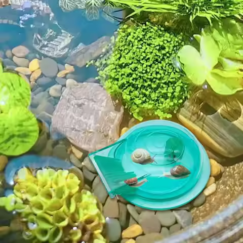 Snail Trap Transparent Snail Catcher Small Cleaning Accessories Lightweight Planaria Removal Supplie