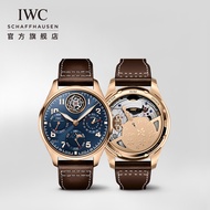 Iwc IWC IWC Large Pilot Series Perpetual Calendar Tourbillon Watch "The Little Prince" Special Edition Wrist Watch IW504803
