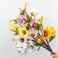 กิ่งต้นแมกโนเลียการจำลองดอกไม้ประดิษฐ์,ดอกไม้โฟมแมกโนเลีย EVA,กล้วยไม้ประดิษฐ์,ดอกไม้แมกโนเลียเลียนแบบ,G.1ดอกไม้ปลอม