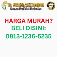 HOKI - GA3 20% - MADE IN USA - BERAT 5 gr