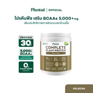 Plantae Complete Plant Protein : Active BCAAs รส Hojicha กระปุก 800g : โปรตีนพืช โฮจิฉะ