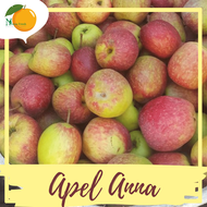 Apel Anna Malang Fresh 1kg