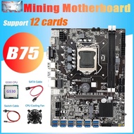 B75 ETH Miner Motoard 12 PCIE Ke USB3.0 + G530 CPU + Kipas Pendingin +