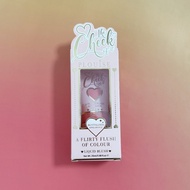 Plouise The Cheek of it - Liquid Blush 25ml