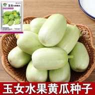 Authentic Jade Girl Fruit Cucumber Seed Mini Cucumber Seed Raw Eat Crispy Sweet Slag-Free Spring Aut