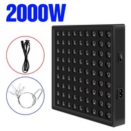 ไฟ Led Phyto 220V โคมไฟ Grow 2000W 3000W แสงไฟไฮโดรพอนิกการเพาะปลูกเมล็ด Fitolamp ปลั๊กสำหรับปลูกของใช้ในกล่องอุปกรณ์