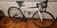 舊款49cm Scott CR1 Team 11速碳架公路車