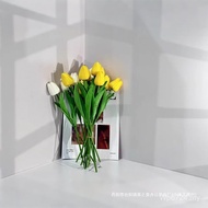 PVC3d Photography White Shooting Props Three-Dimensional Solid Color Background Board Background Boa