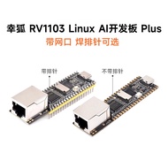 [MS]Luckfox Pico Plus  จิ้งจอกโชคดี RV1103 Linux บอร์ดพัฒนา Cortex-A7  มีพอร์ตตาข่าย