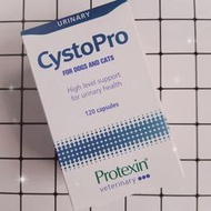 【現貨✅開發票】Protexin Cystopro 蔓泌利 120顆 ｜ 耳朵捲捲商行